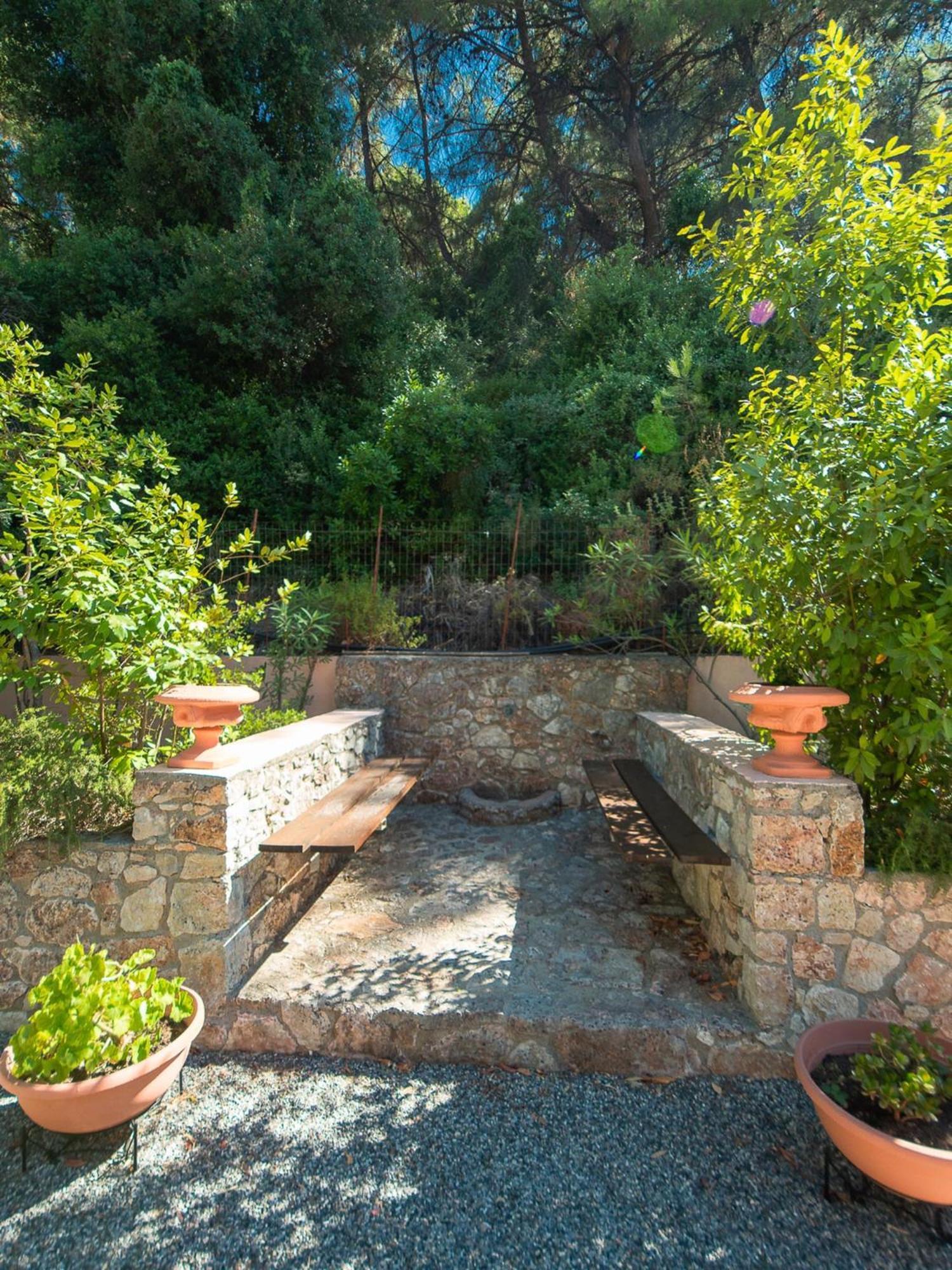 Butterfly Garden